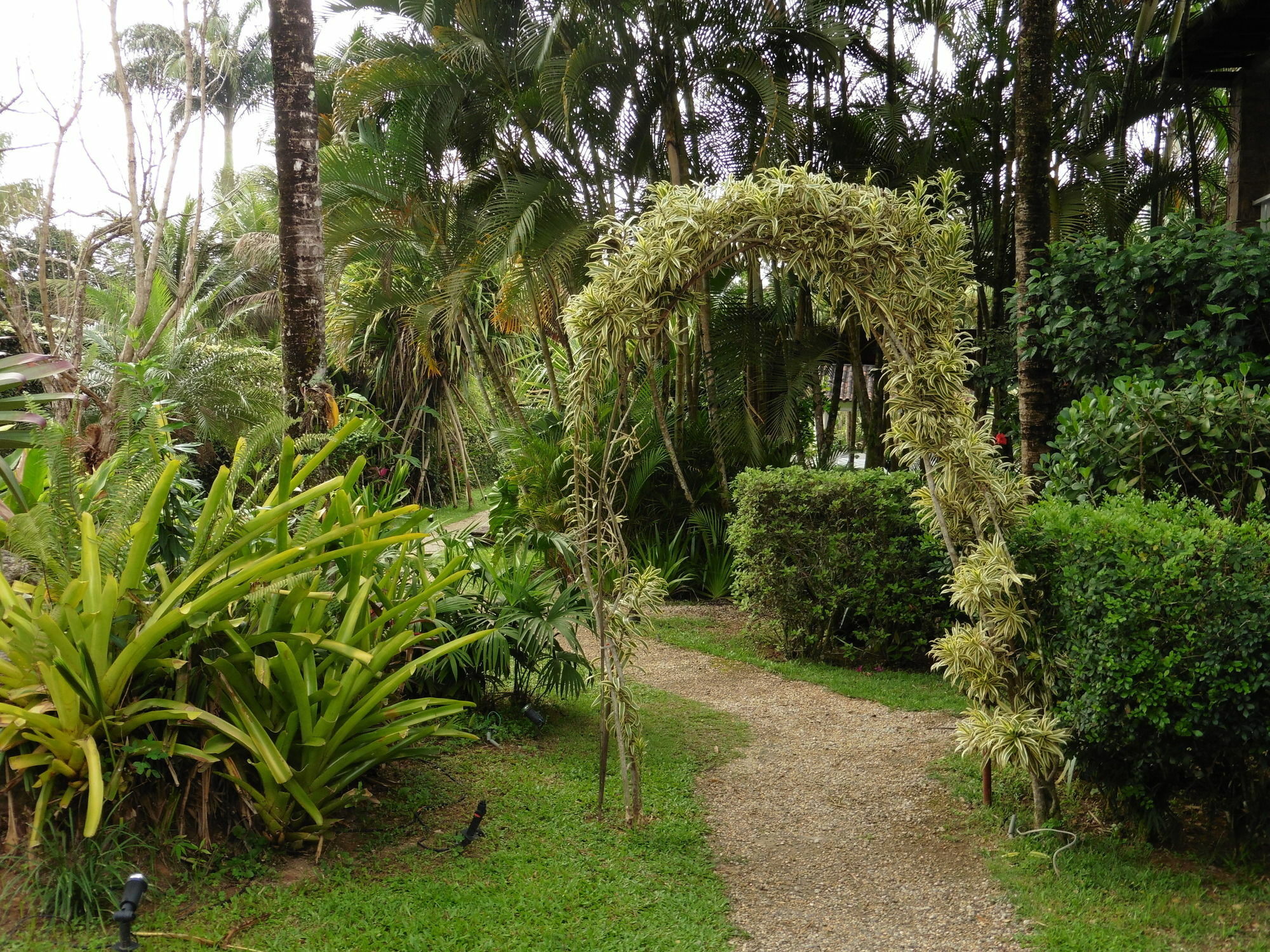 Bambu Bamboo Pousada Paraty Zewnętrze zdjęcie